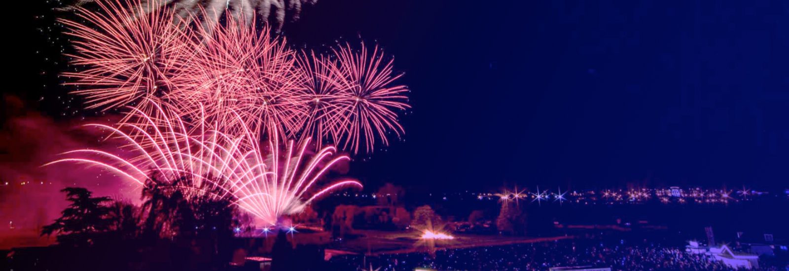 Top Roman Candles for Parties and Events